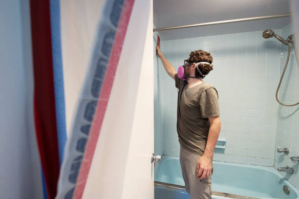 Environmental Consulting for Mold Prevention in Lookout Mountain, GA