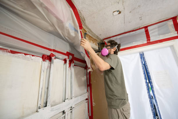Best Residential Mold Inspection & Testing  in Lookout Mountain, GA