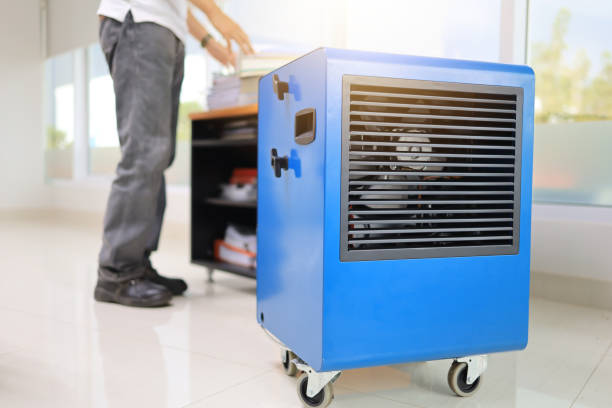 Best Mold Remediation for Healthcare Facilities  in Lookout Mountain, GA